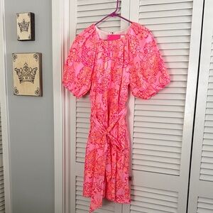NWT Lilly Pulitzer Mandevilla Baby Days Bloom dress